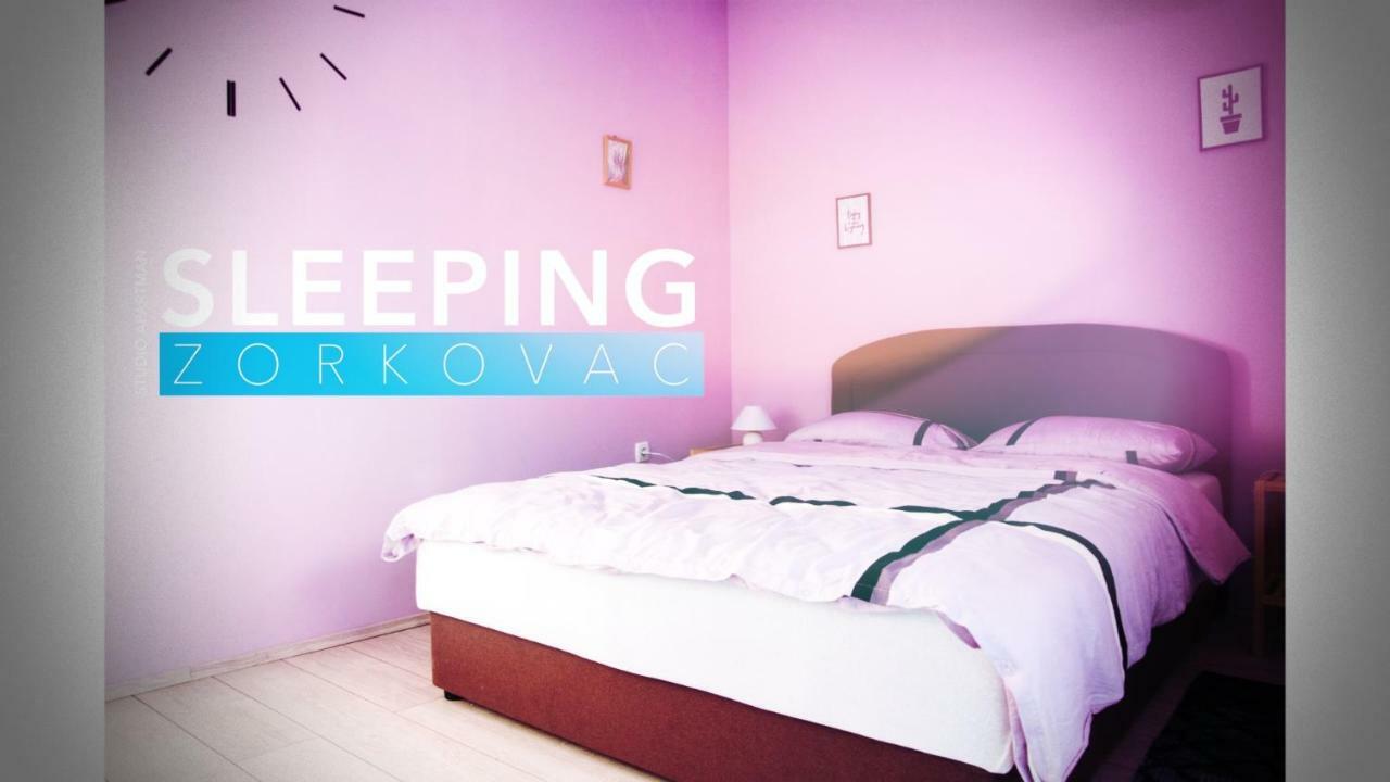 Studio Apartman Zorkovac Ozalj Dış mekan fotoğraf