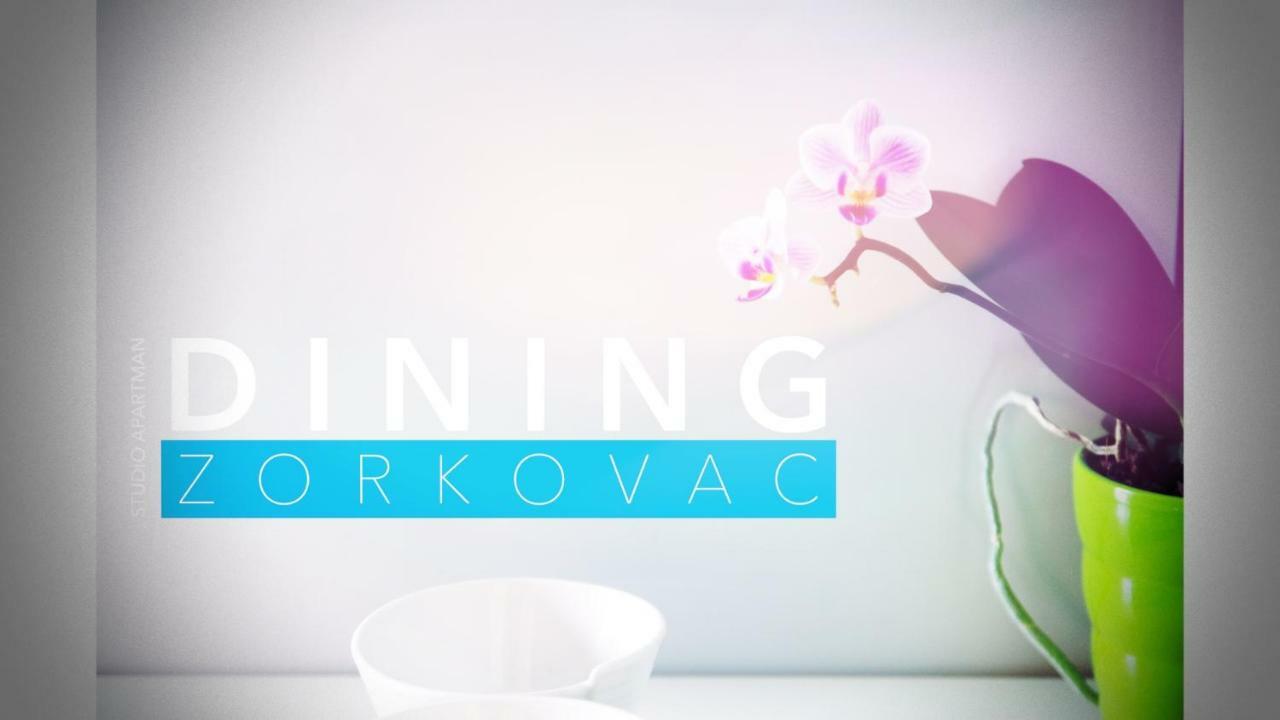 Studio Apartman Zorkovac Ozalj Dış mekan fotoğraf